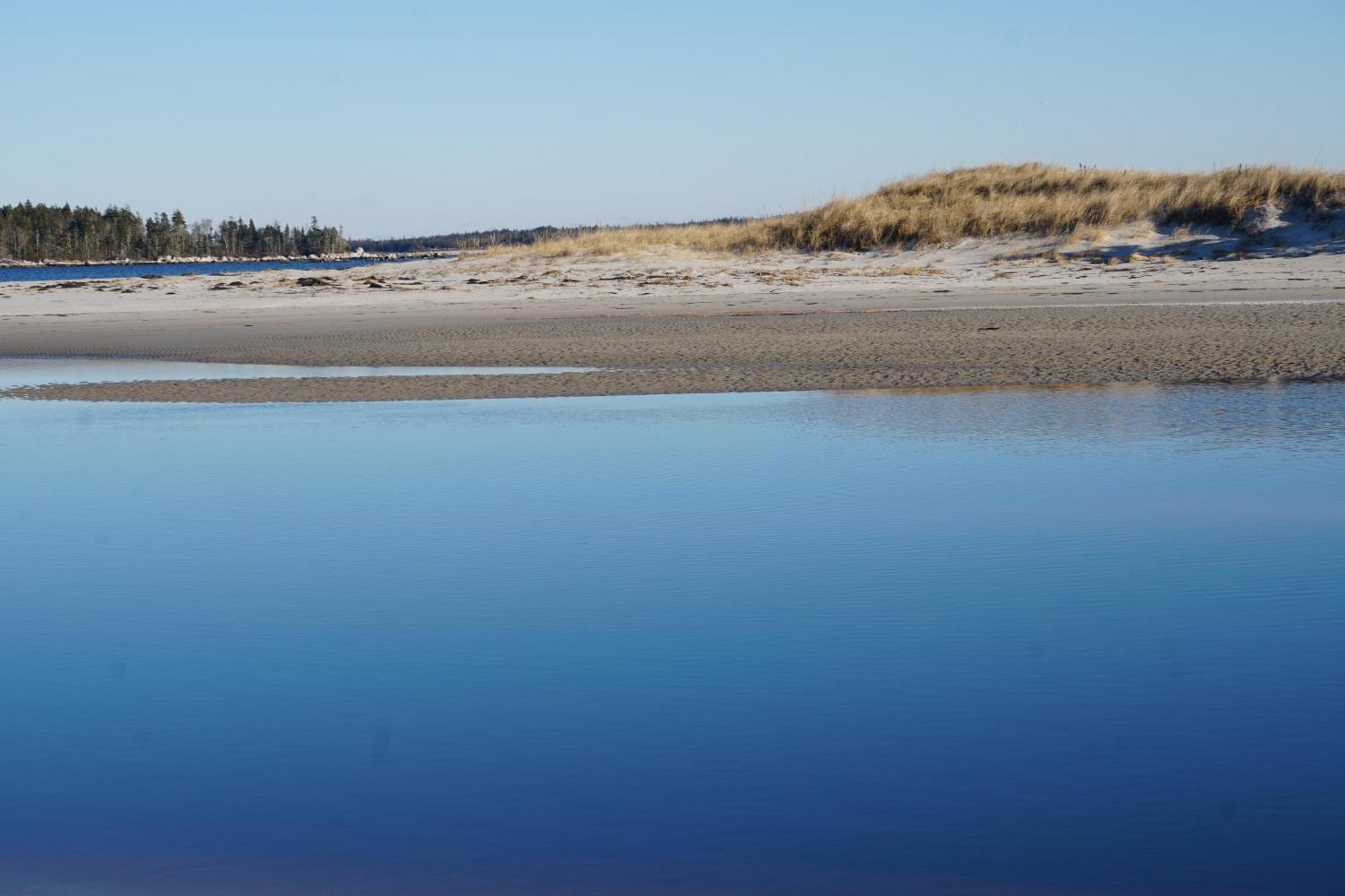 Blissful Oceanfront Cottage In Port Mouton エクステリア 写真