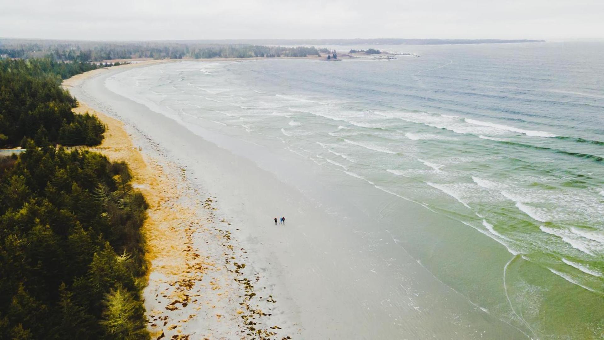 Blissful Oceanfront Cottage In Port Mouton エクステリア 写真